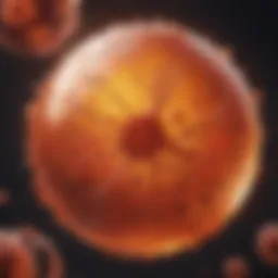 Dynamic representation of leukemia cell proliferation
