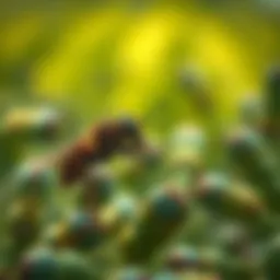 The Carcinogenic Potential of Pesticides: An In-Depth Exploration Introduction