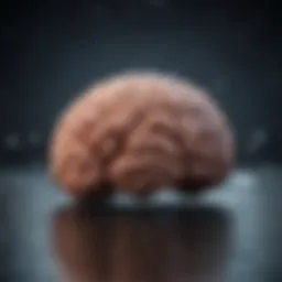 Brain enhancement through exercise