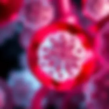 Research trends in the study of Invasive Lobular Carcinoma