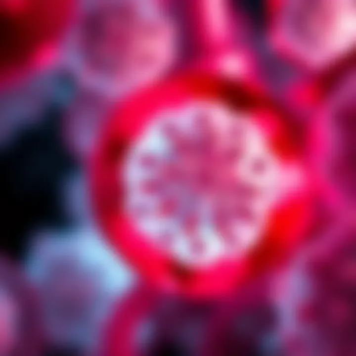 Research trends in the study of Invasive Lobular Carcinoma
