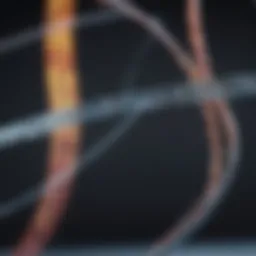 Visual representation of genomic data analysis