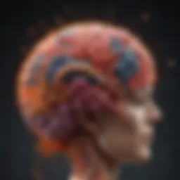 Brain activity influenced by dietary components