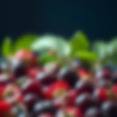 The Role of Anthocyanin Foods in Human Health Summary