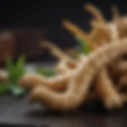 Ginger root showcasing its rich texture and vibrant color