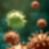 Illustration depicting interleukin 4's role in immune response modulation.