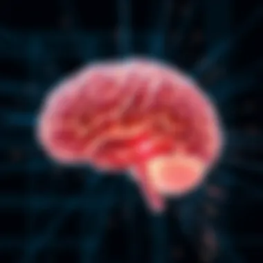 Visual representation of brain activity influenced by omega-3