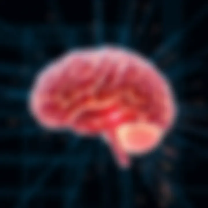 Visual representation of brain activity influenced by omega-3