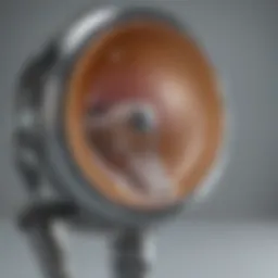 Titanium hip implant showcasing its sleek design
