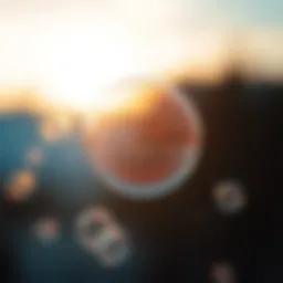 The Science and Aesthetics of Soap Bubbles Introduction