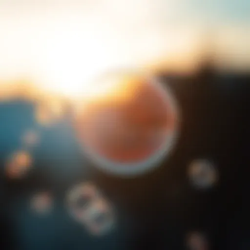 The Science and Aesthetics of Soap Bubbles Introduction