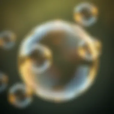 Notable The Science and Aesthetics of Soap Bubbles