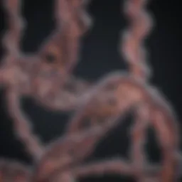 Illustration of the transcription mechanism where mRNA is synthesized from DNA.