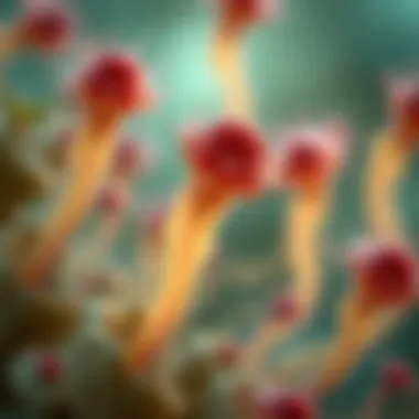 Visual representation of preventive measures for UTIs