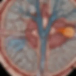 Cross-sectional view of a brain MRI showing active MS lesions
