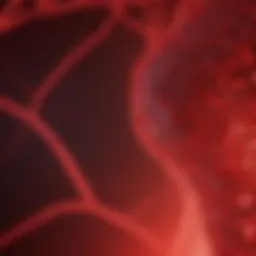 Cellular metabolism enhanced by red light