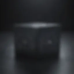 Visual representation of black box algorithms