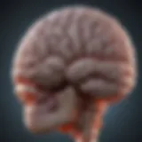 Advanced brain scan depicting tumor growth