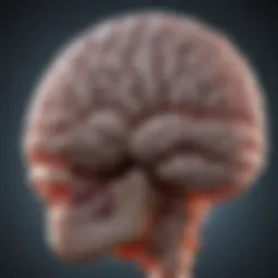 Advanced brain scan depicting tumor growth