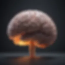 Brain cancer staging overview