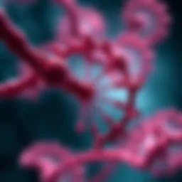 Understanding BRCA Gene Positivity: Implications and Insights Introduction