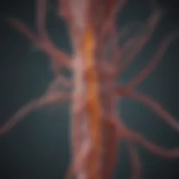 Illustration of nerve pathways affected by chemotherapy