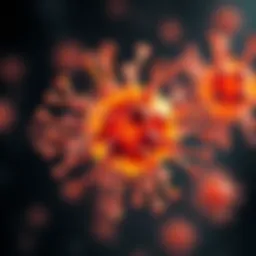 Illustration showing the apoptosis mechanism with emphasis on caspase 3 activation