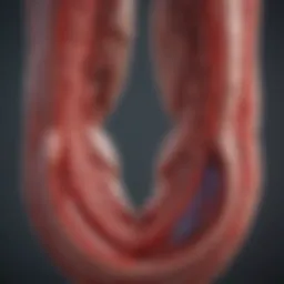 Diagram illustrating the relationship between diabetes and coronary artery disease.