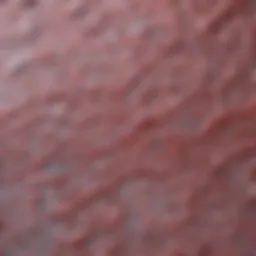 Microscopic view of lymphatic tissue affected by diffuse non-Hodgkin lymphoma