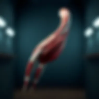 Understanding Diseases of Skeletal Muscle: An In-depth Exploration Introduction Understanding Diseases of Skeletal Muscle: An In-depth Exploration Introduction