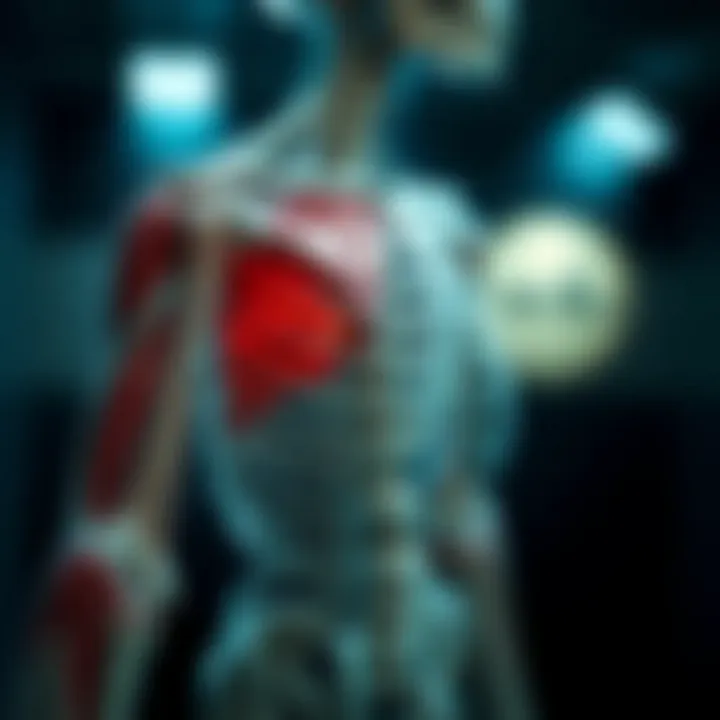 Understanding Diseases of Skeletal Muscle: An In-depth Exploration Summary