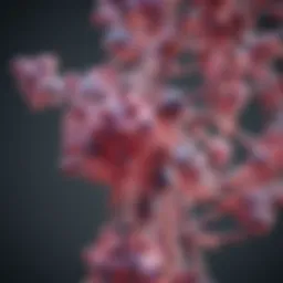 Representation of estrogen molecules in a biological context