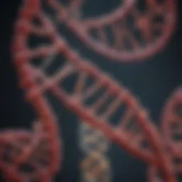 Illustration depicting the structure of DNA highlighting mutation points