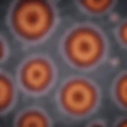 Microscopic view of glioblastoma cells
