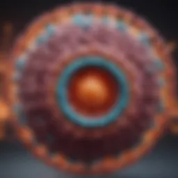 Detailed illustration of the Hepatitis C virus structure
