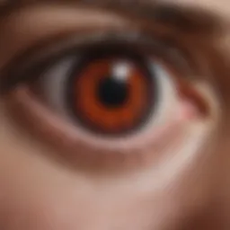 Illustration showing the relationship between blood pressure and ocular health