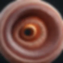 Detailed anatomy of a hookworm highlighting its structure