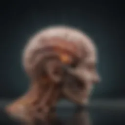 A detailed illustration depicting the brain's response to trauma