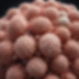 An illustration depicting various types of internal cancer