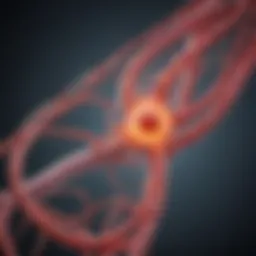 Diagram illustrating the interaction between cancer and venous thromboembolism.