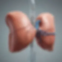 Diagram illustrating liver dialysis mechanisms