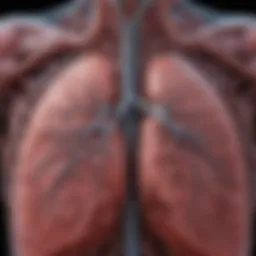 Illustration depicting the anatomical relationship of the lungs and hepatic vasculature