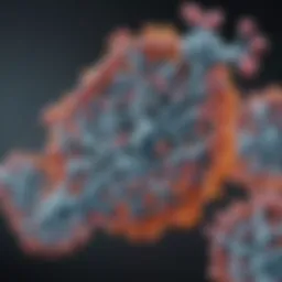 Matriptase antibody structure depicted in molecular detail