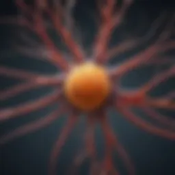 Detailed illustration of motor neuron cell structure highlighting key components
