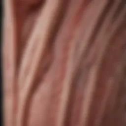 Illustration depicting muscle fibers undergoing atrophy