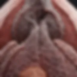 Understanding N3 Lung Cancer: A Comprehensive Overview Introduction