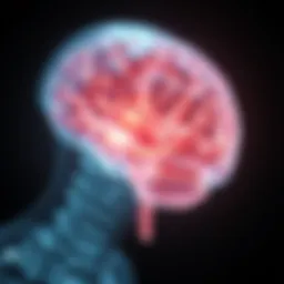 Neuroanatomy of Sleep