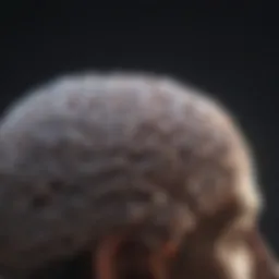 Brainwave patterns indicating neurofeedback activity