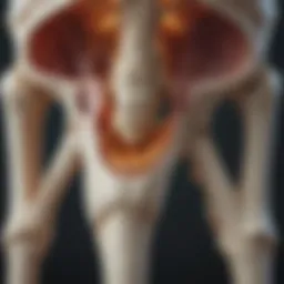 Detailed illustration of bone structure and density