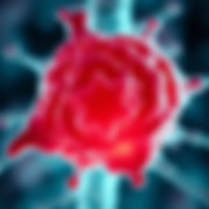 Prostate cancer cell structure illustration